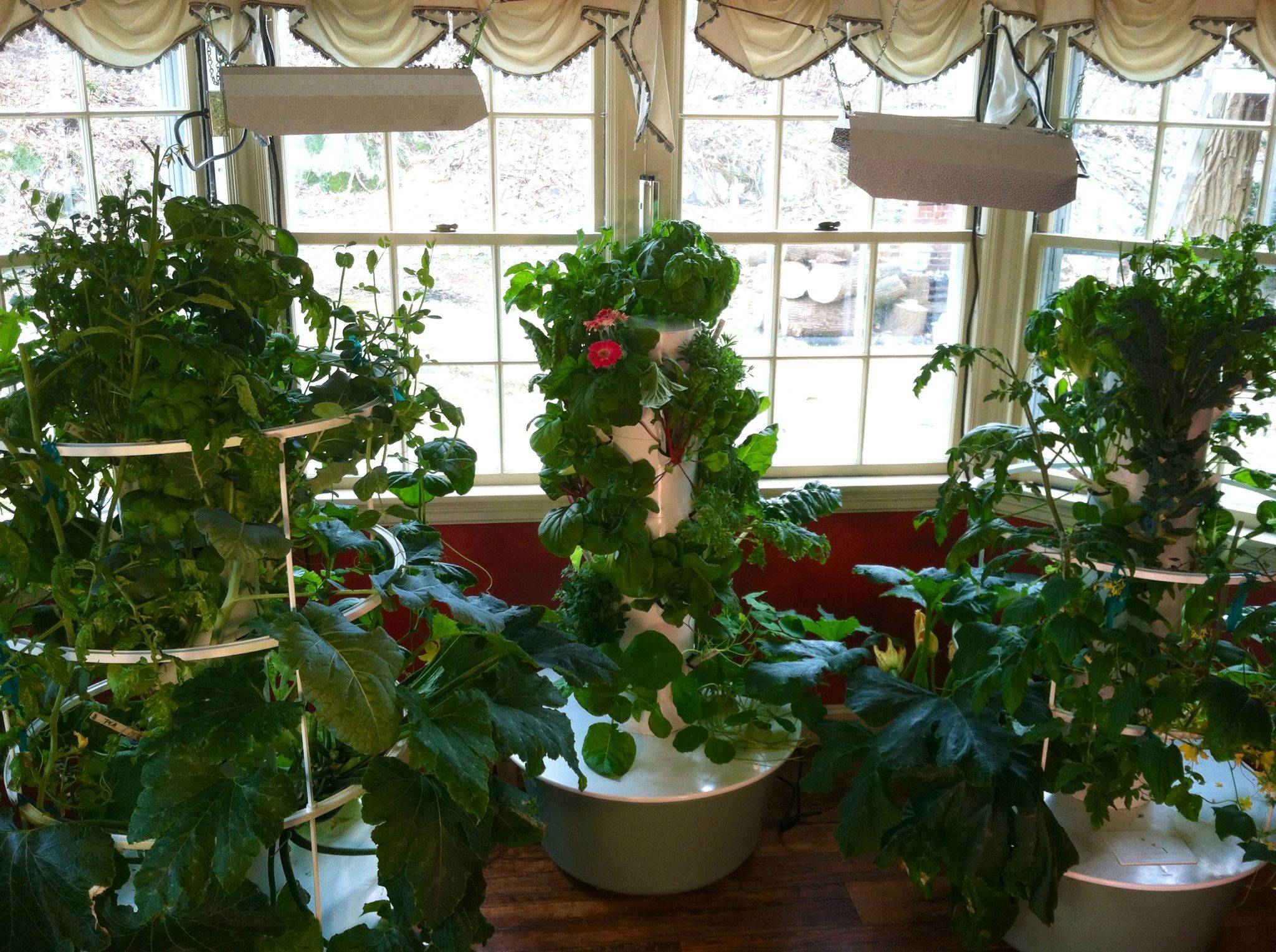 Indoor Winter Gardening