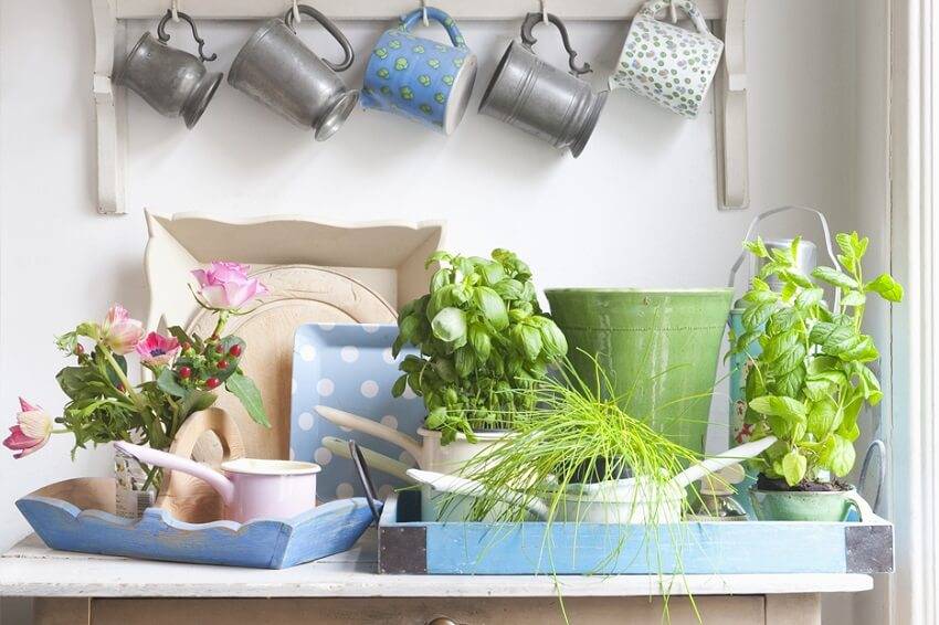 Indoor Winter Garden