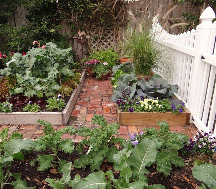 Most Beautiful Winter Garden Ideas