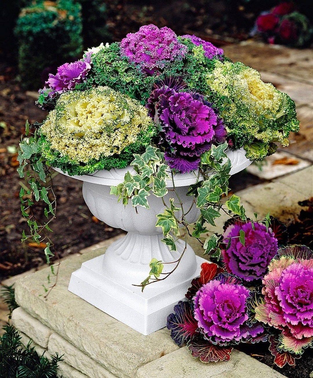 Antique Passion Garden Inspiration