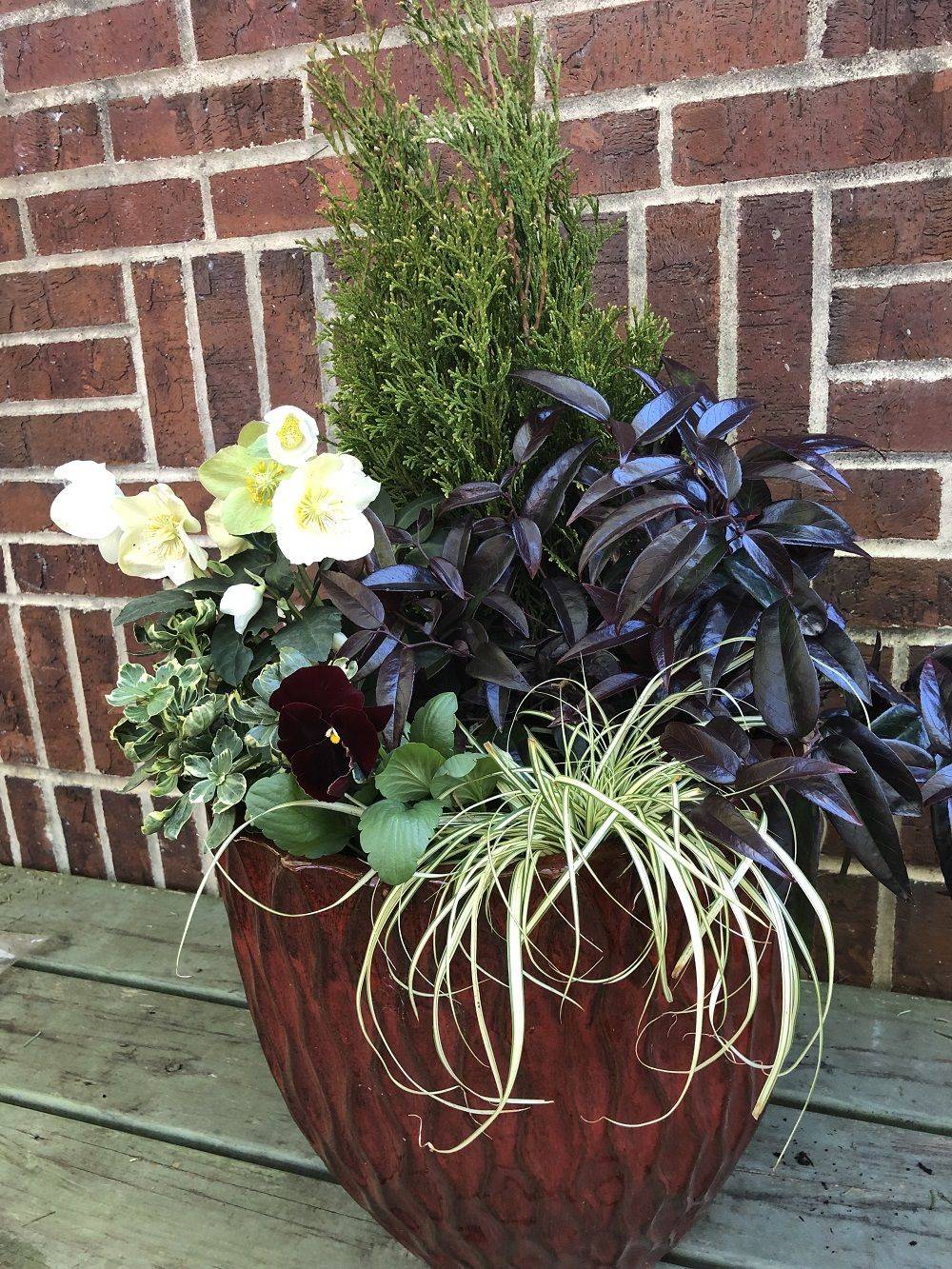 Beautiful Outdoor Winter Container Gardening Design Ideas