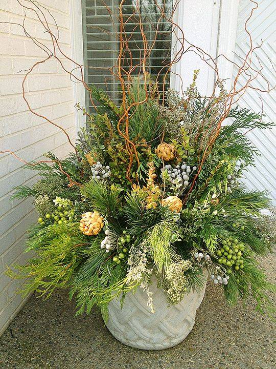 Winter Container Garden Ideas Flowerchickcom