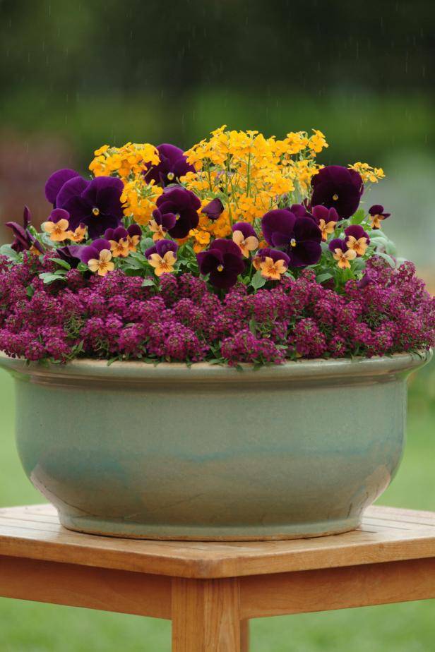 Winter Container Garden Ideas