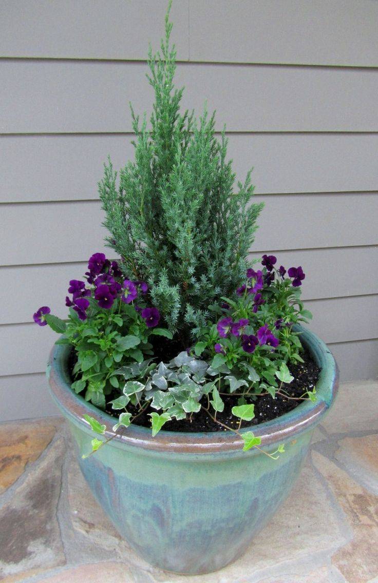 Winter Porch Planter Ideas