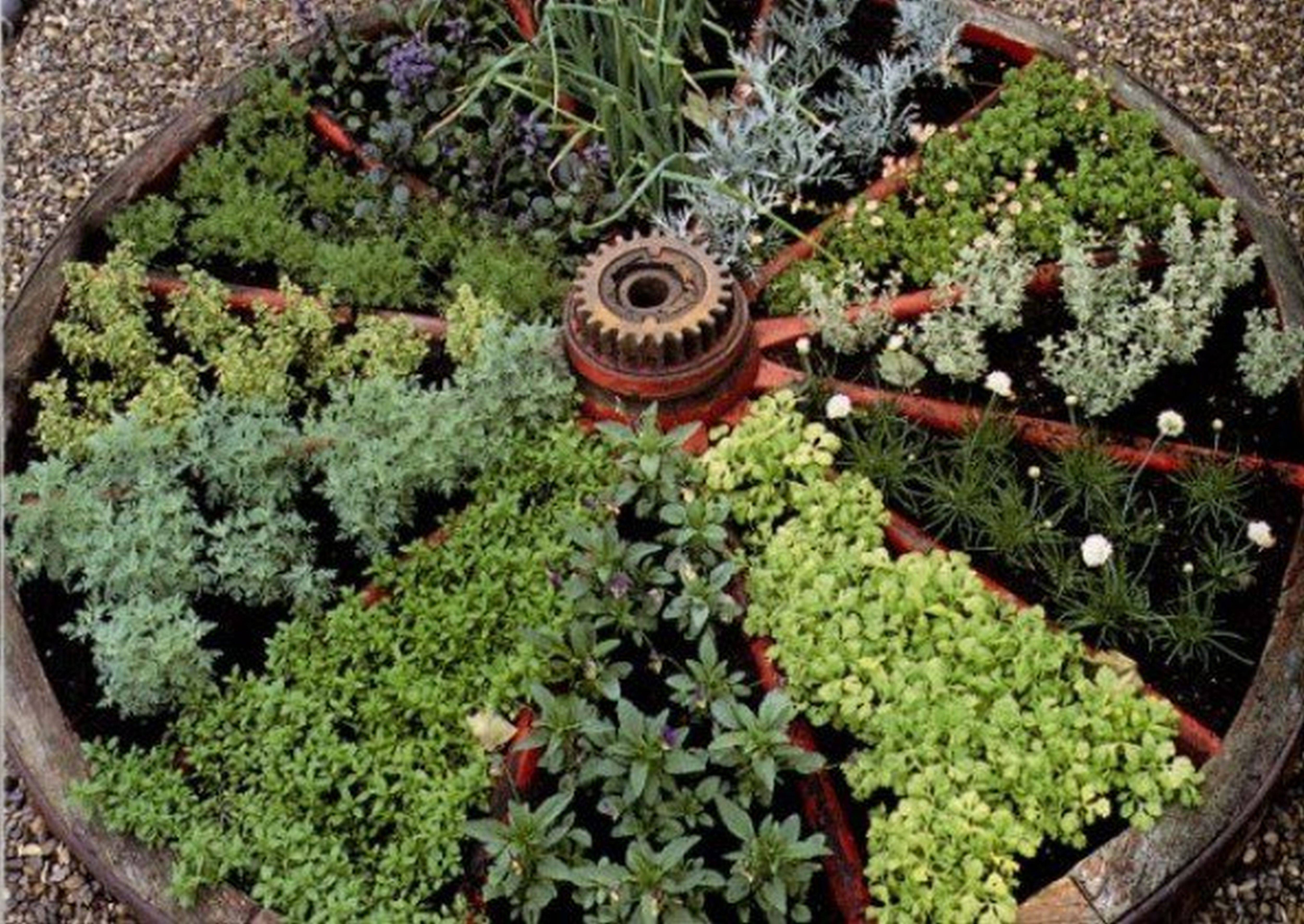 Simple Herb Garden Designs