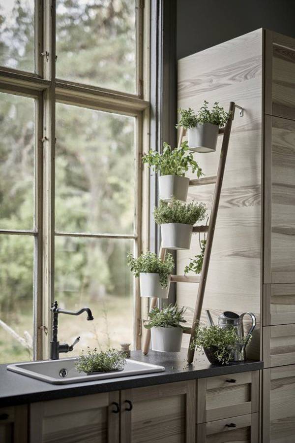 Awesome Diy Hanging Plants Ideas