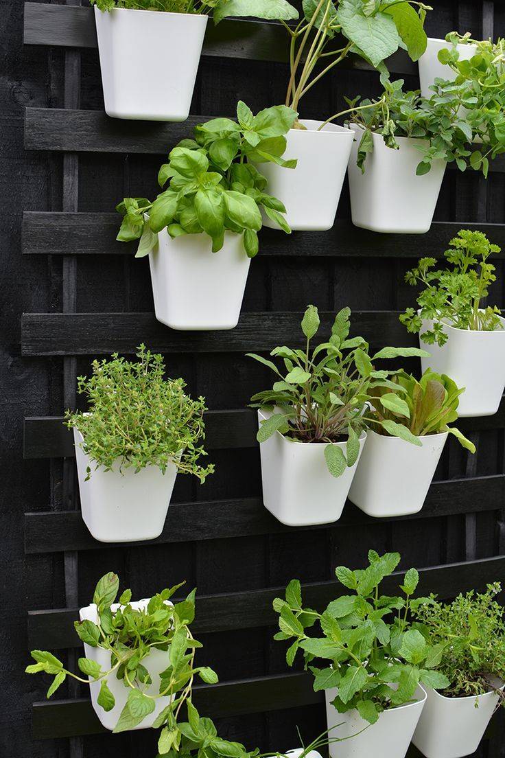 Beautiful Small Cottage Garden Ideas