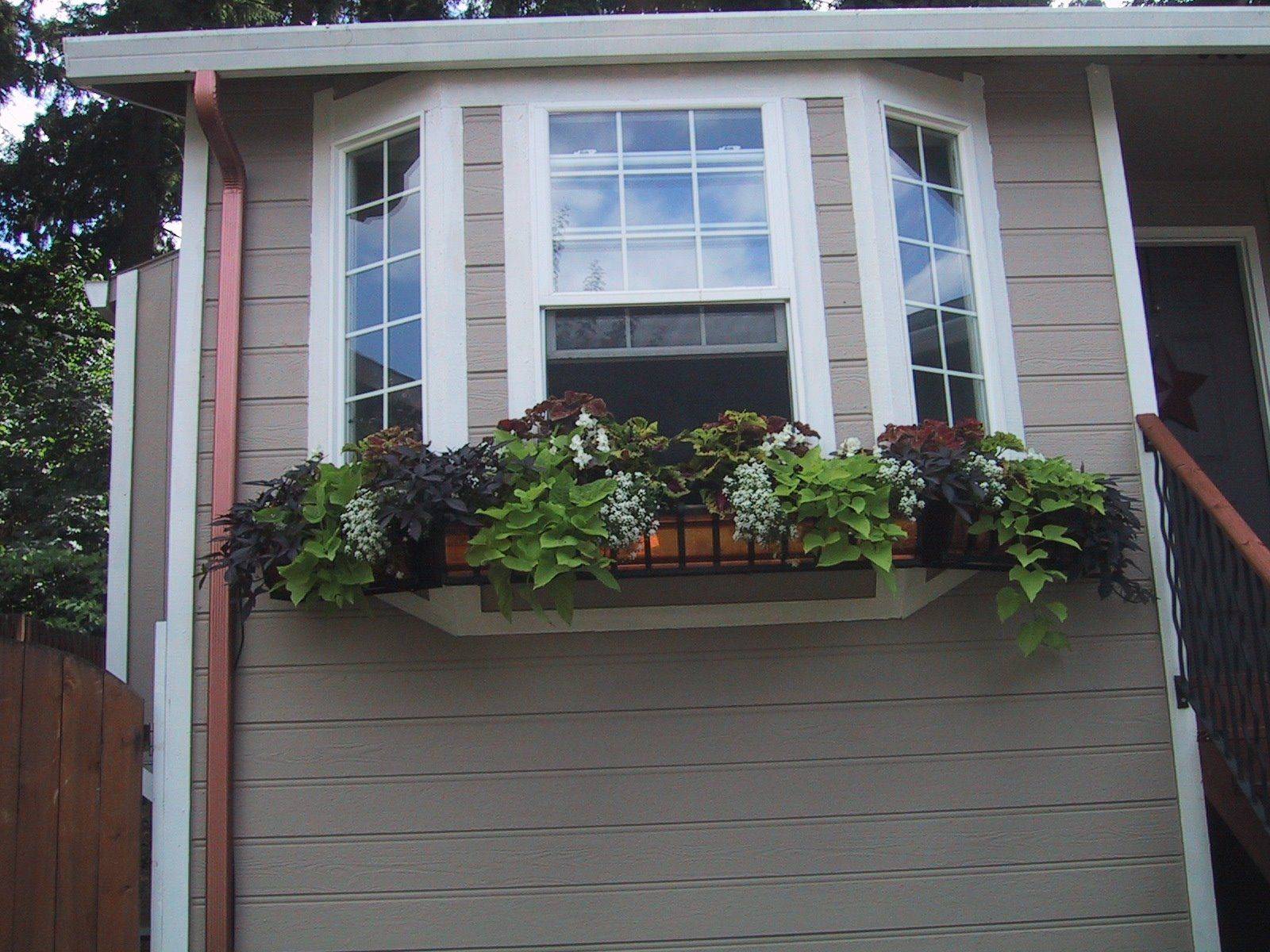 Window Garden Ideas