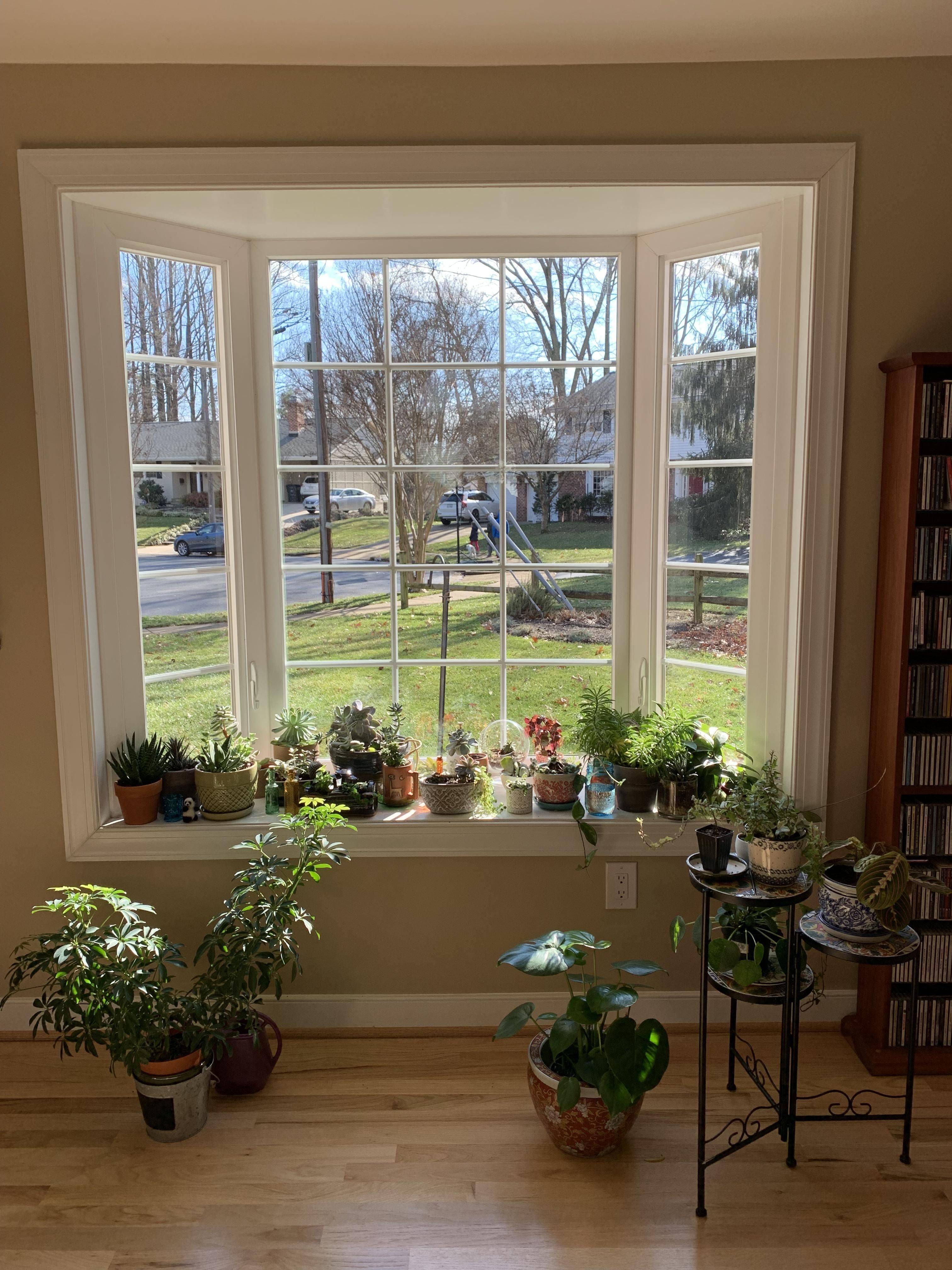 Garden Windows