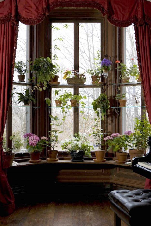 Garden Window Ideas