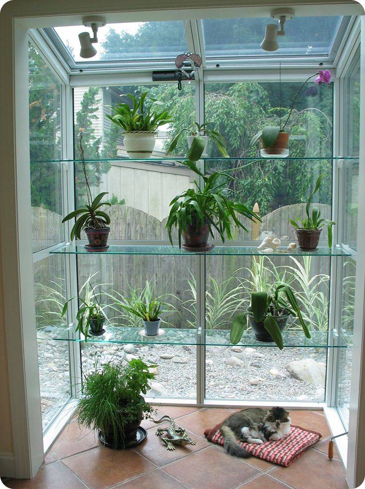 Garden Window Ideas
