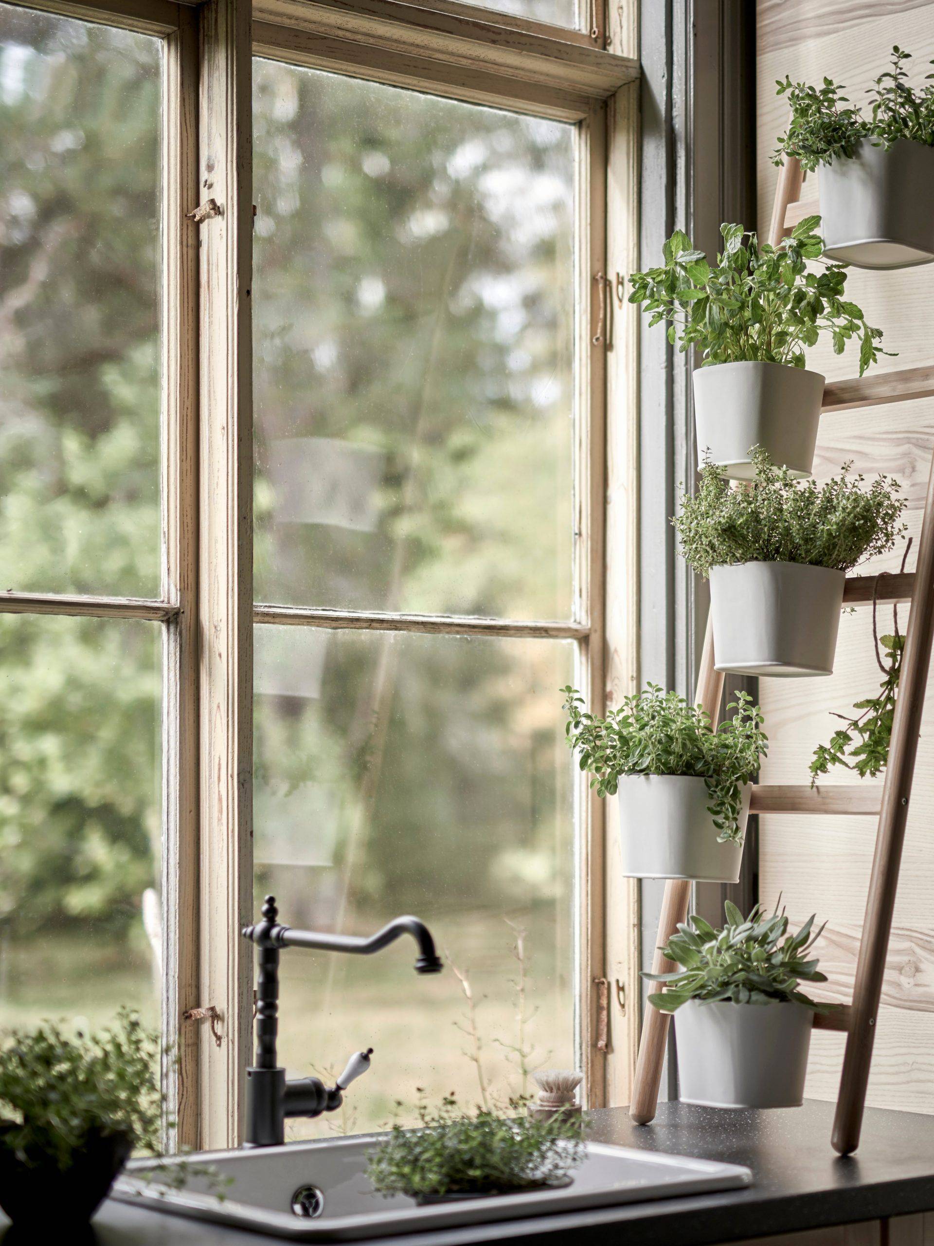 Garden Windows