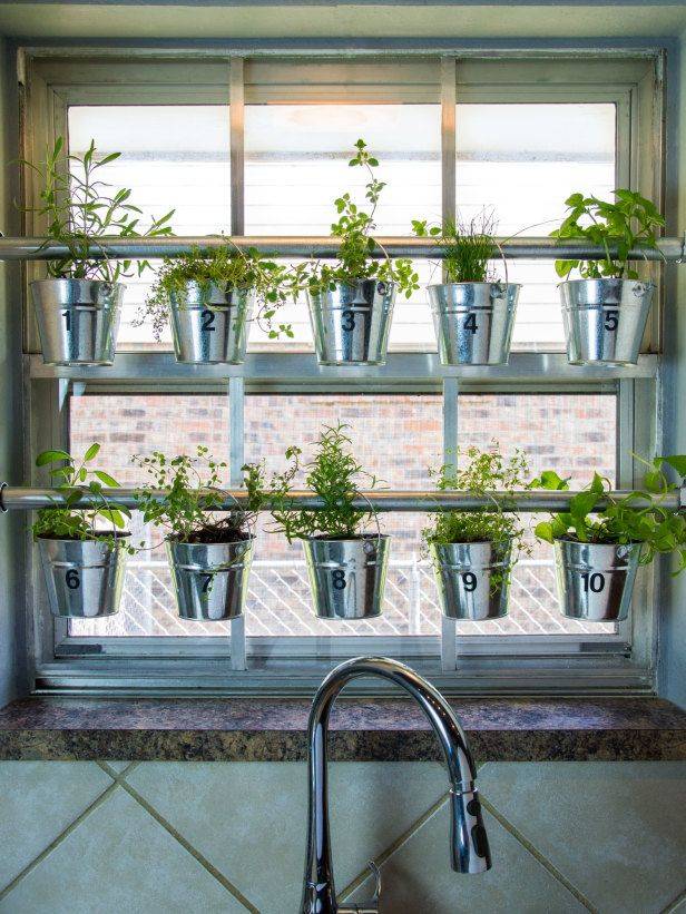 Window Box Flowers