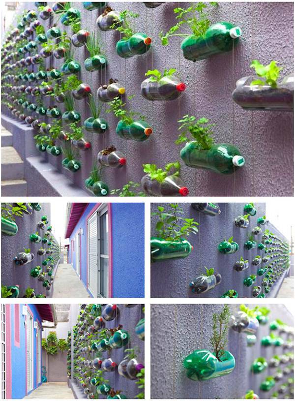 Brilliant Diy Vertical Garden Plastic Bottles