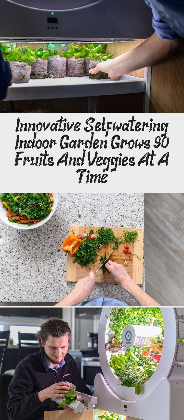 Best Diy Selfwatering Container Garden Ideas