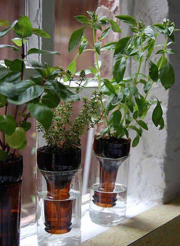 Best Diy Selfwatering Container Garden Ideas