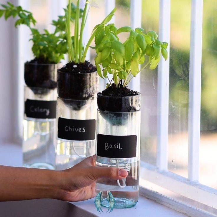 Clever Diy Selfwatering Container Garden Ideas