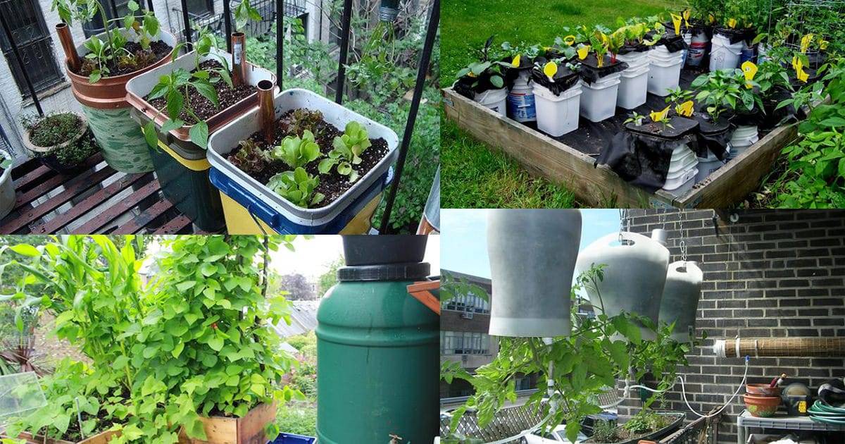 Clever Diy Selfwatering Container Garden Ideas