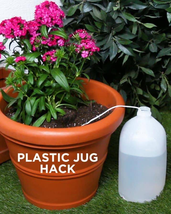 Clever Diy Selfwatering Container Garden Ideas