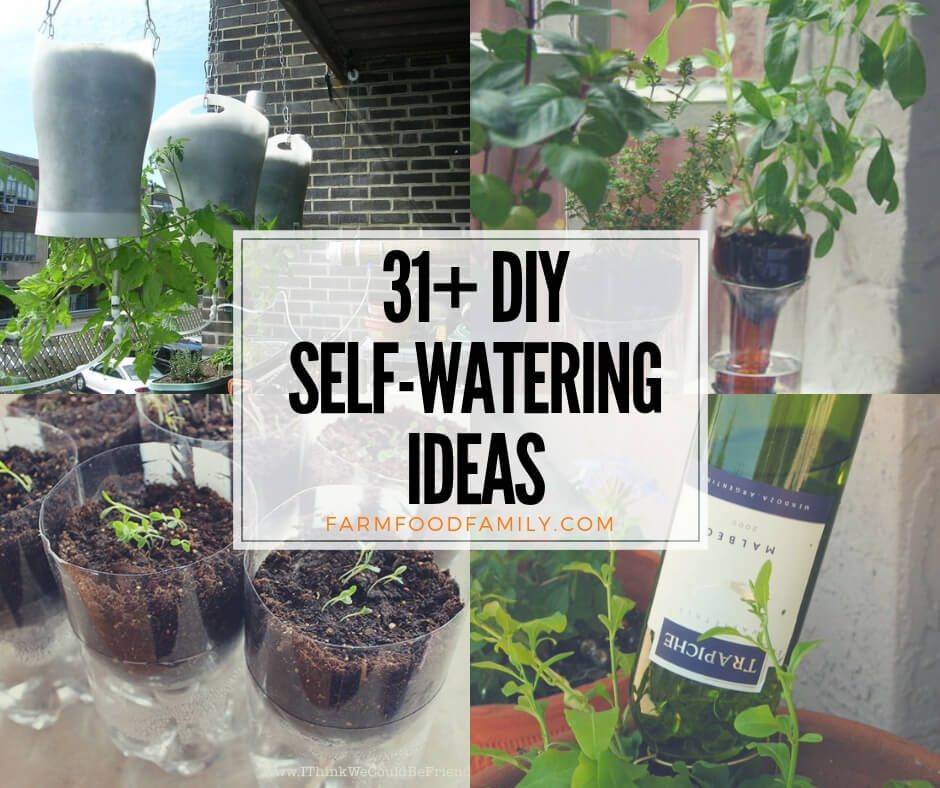 A Self Watering Vertical Garden