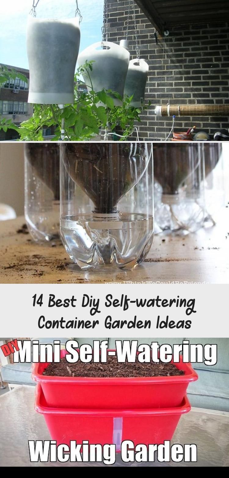 Innovative Selfwatering Indoor Garden