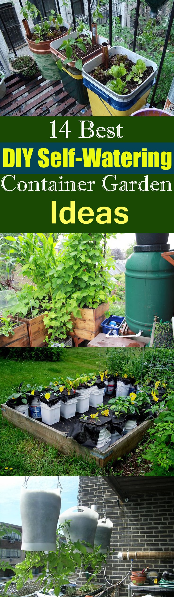 Smart Selfwatering Garden Ideas