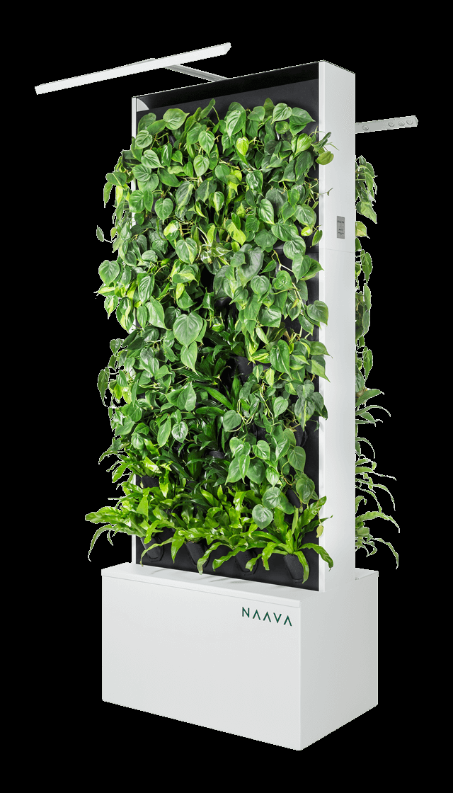 Vertical Garden Plants Png Images Garden Plants