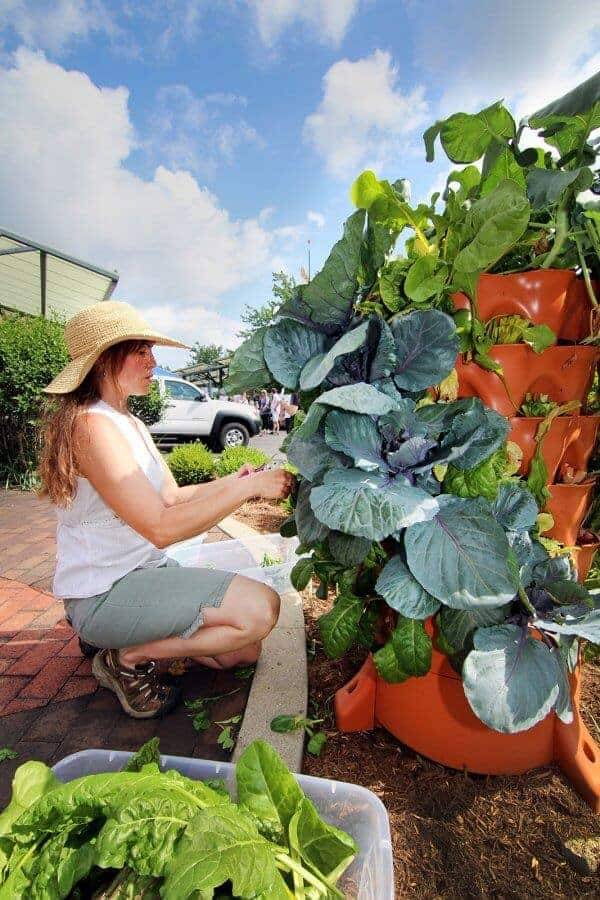 Diy Flower Tower Ideas