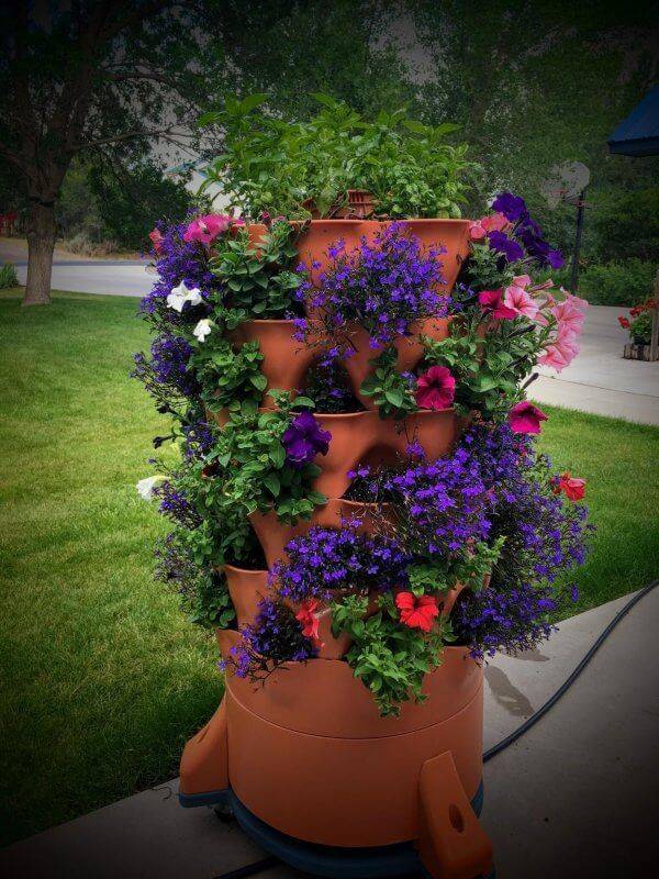 Your Yard Diy