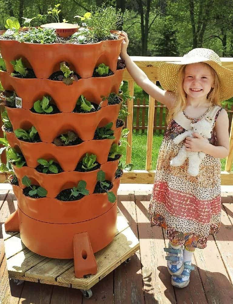 A Beautiful Small Space Garden