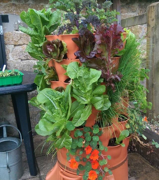 A Beautiful Small Space Garden