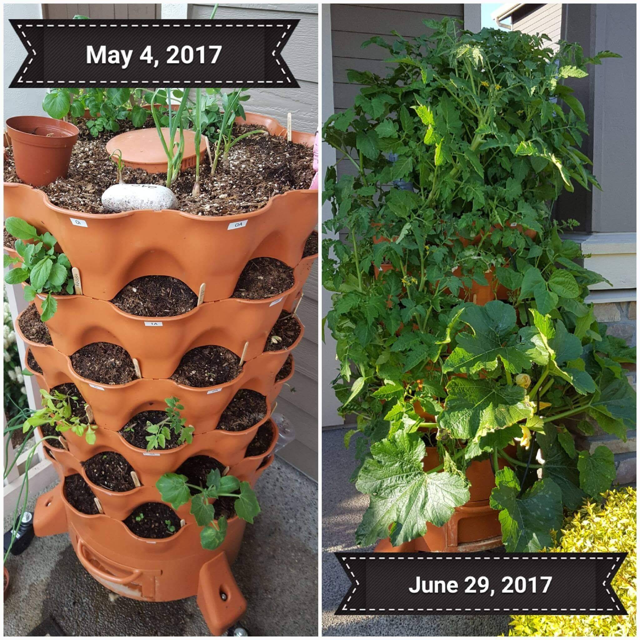 Diy Garden Project Tilted Plant Tower