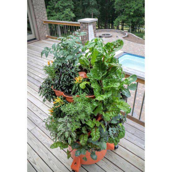 Plant Composting Container Garden