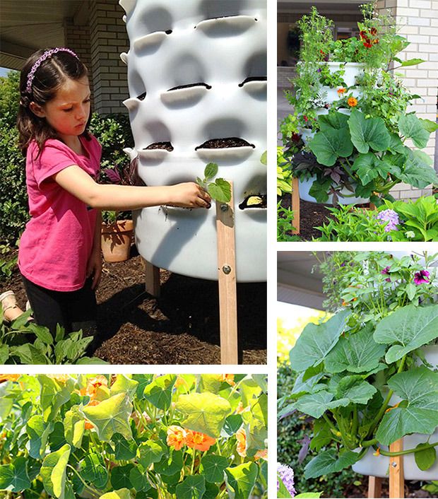 Plant Composting Container Garden