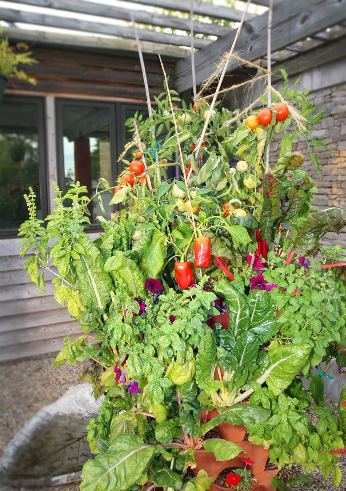 Plant Composting Container Garden