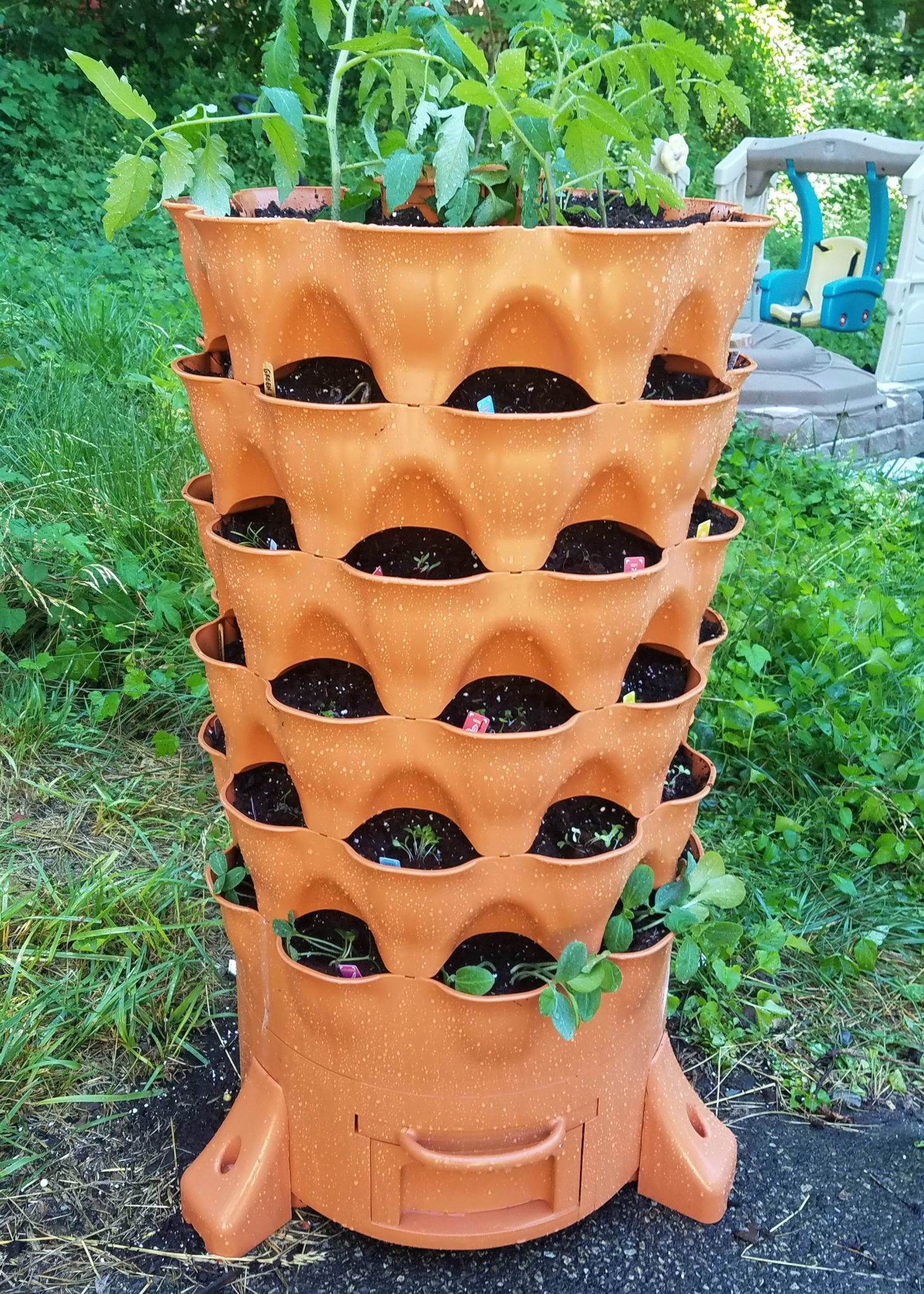 Plant Composting Container Garden