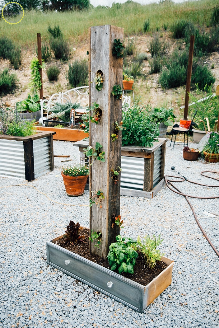 The Garden Tower Project Containergardening Container Gardening