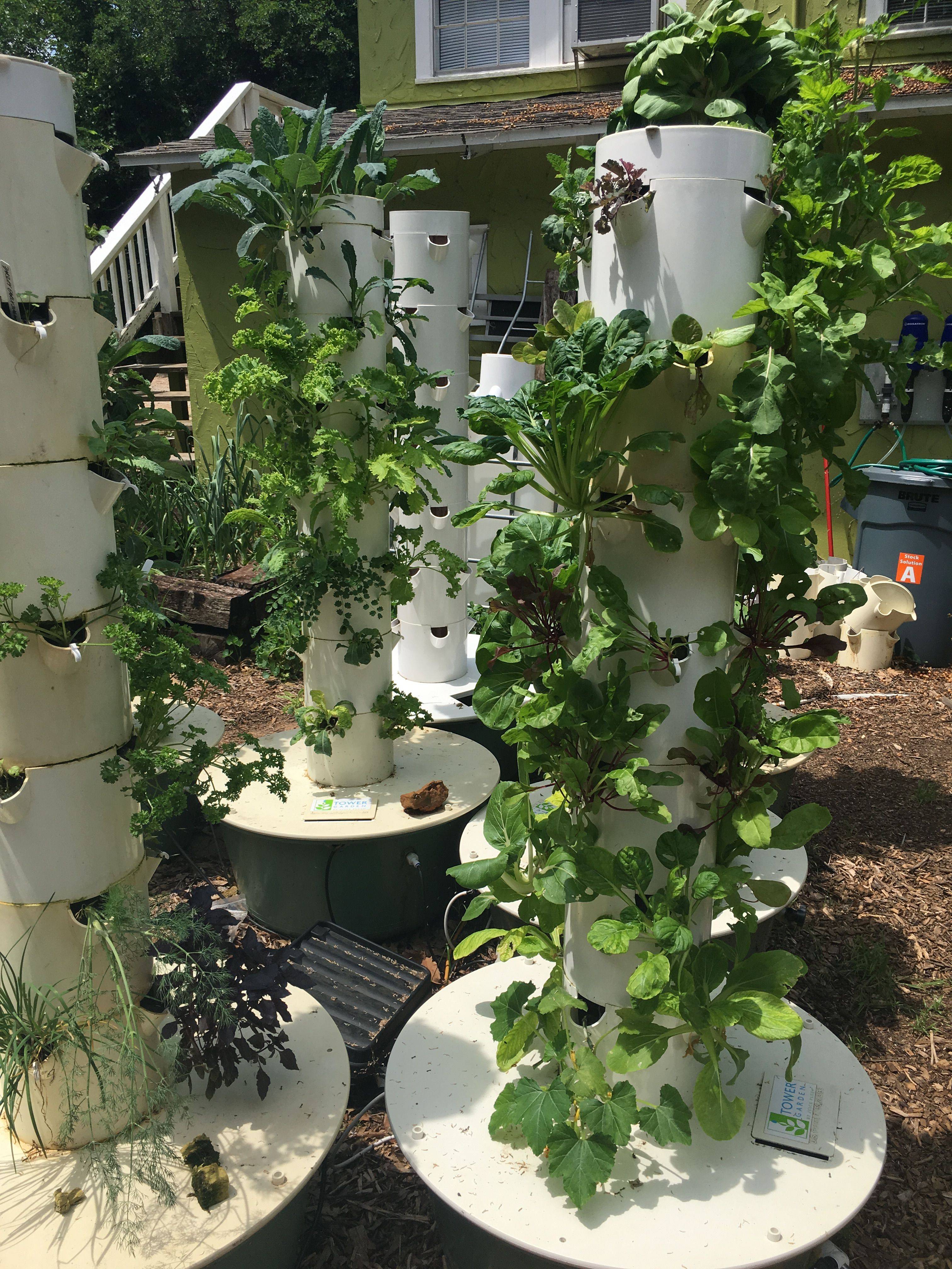 Incredible Hydroponic Garden