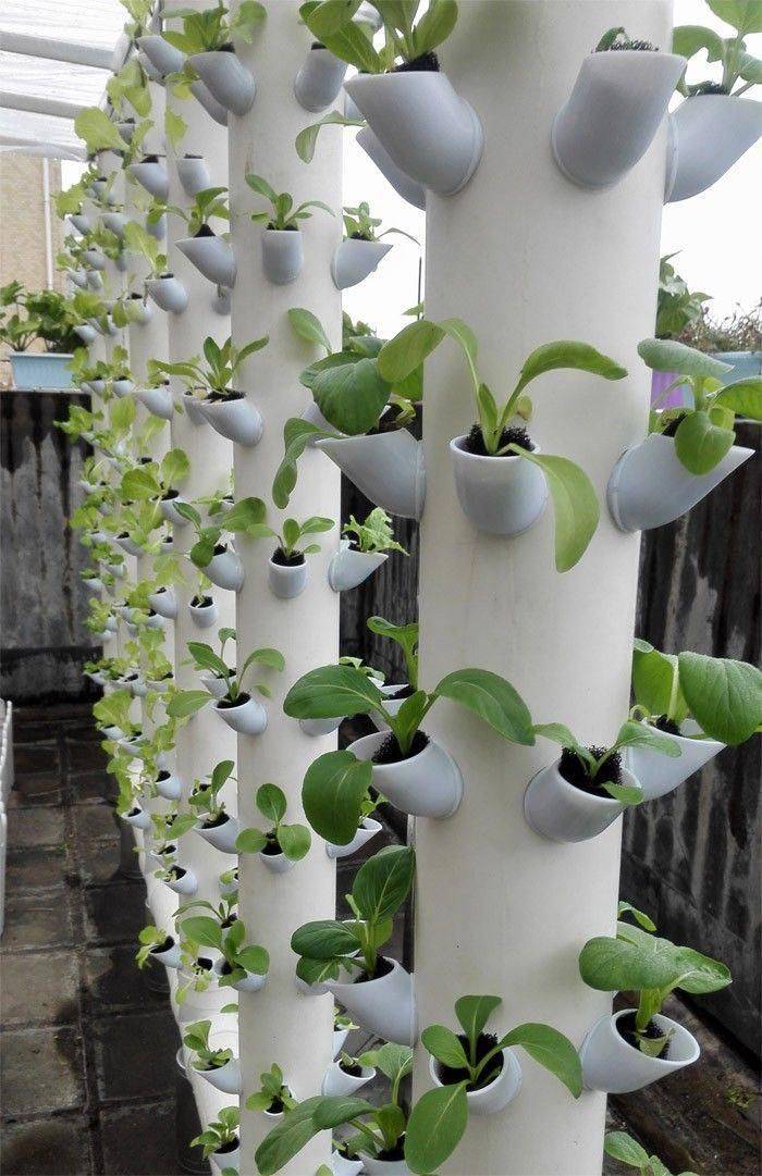 Beautiful Diy Backyard Vegetable Garden Ideas