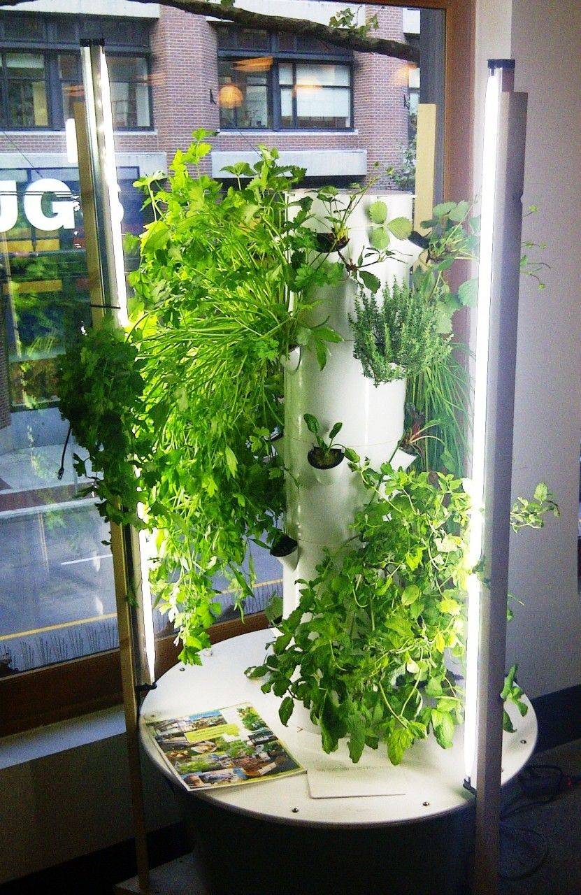 Indoor Hydroponic Garden Ideas