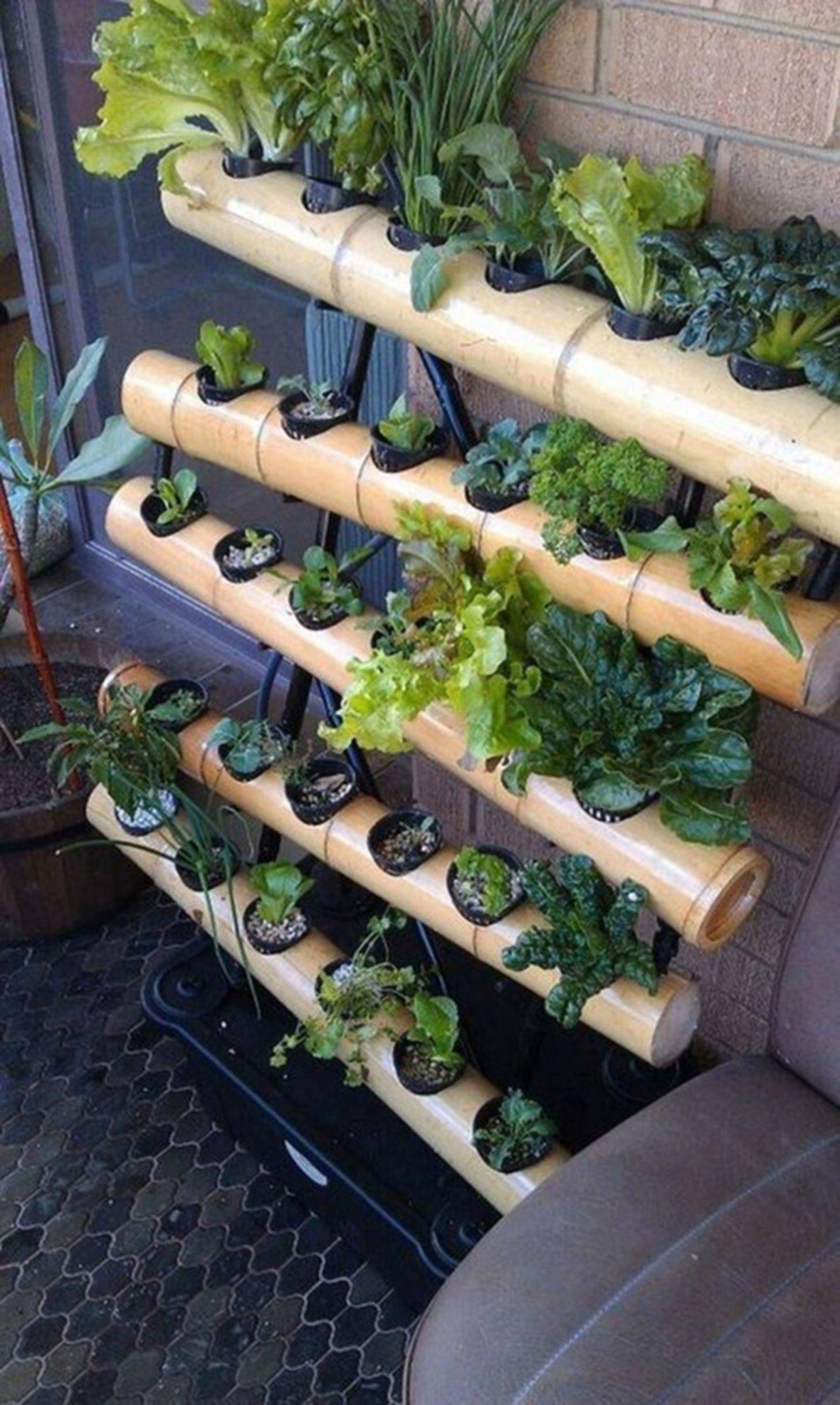 Easy Attractive Diy Cucumber Trellis Ideas