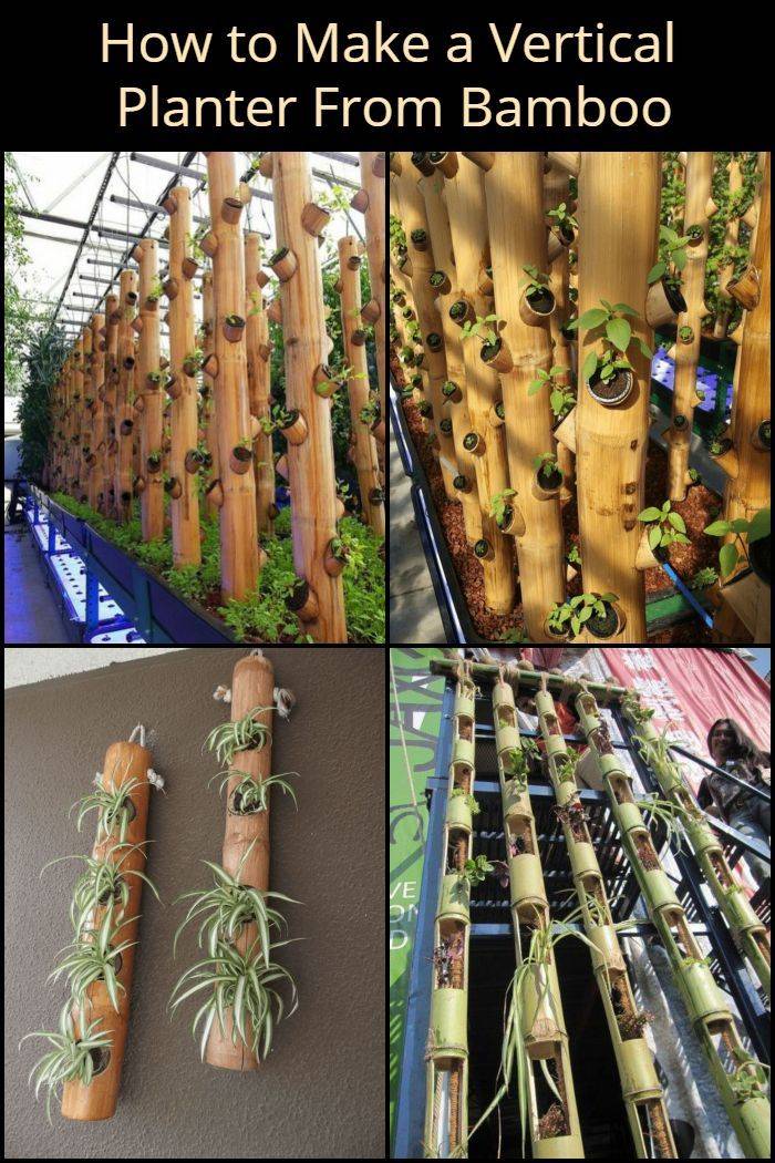 A Decorative Bamboo Hydroponic Plant Growing System