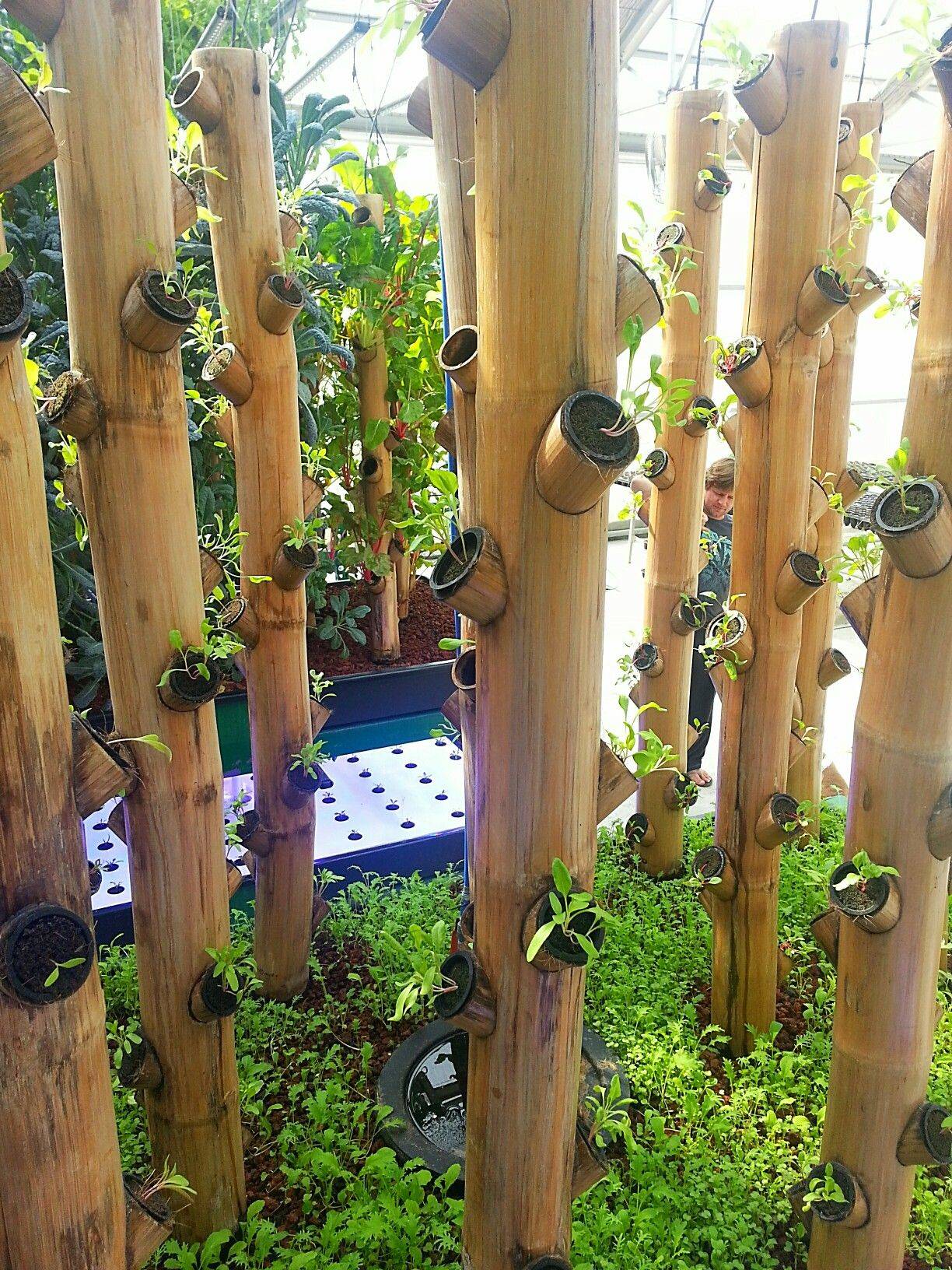 Bamboo Planter Vertical Garden Photo