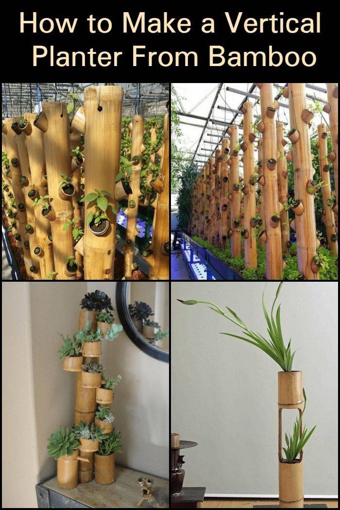 Bamboo Vertical Garden Home Design Ideas