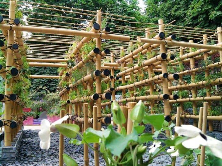 Beautiful Diy Vertical Garden Ideas