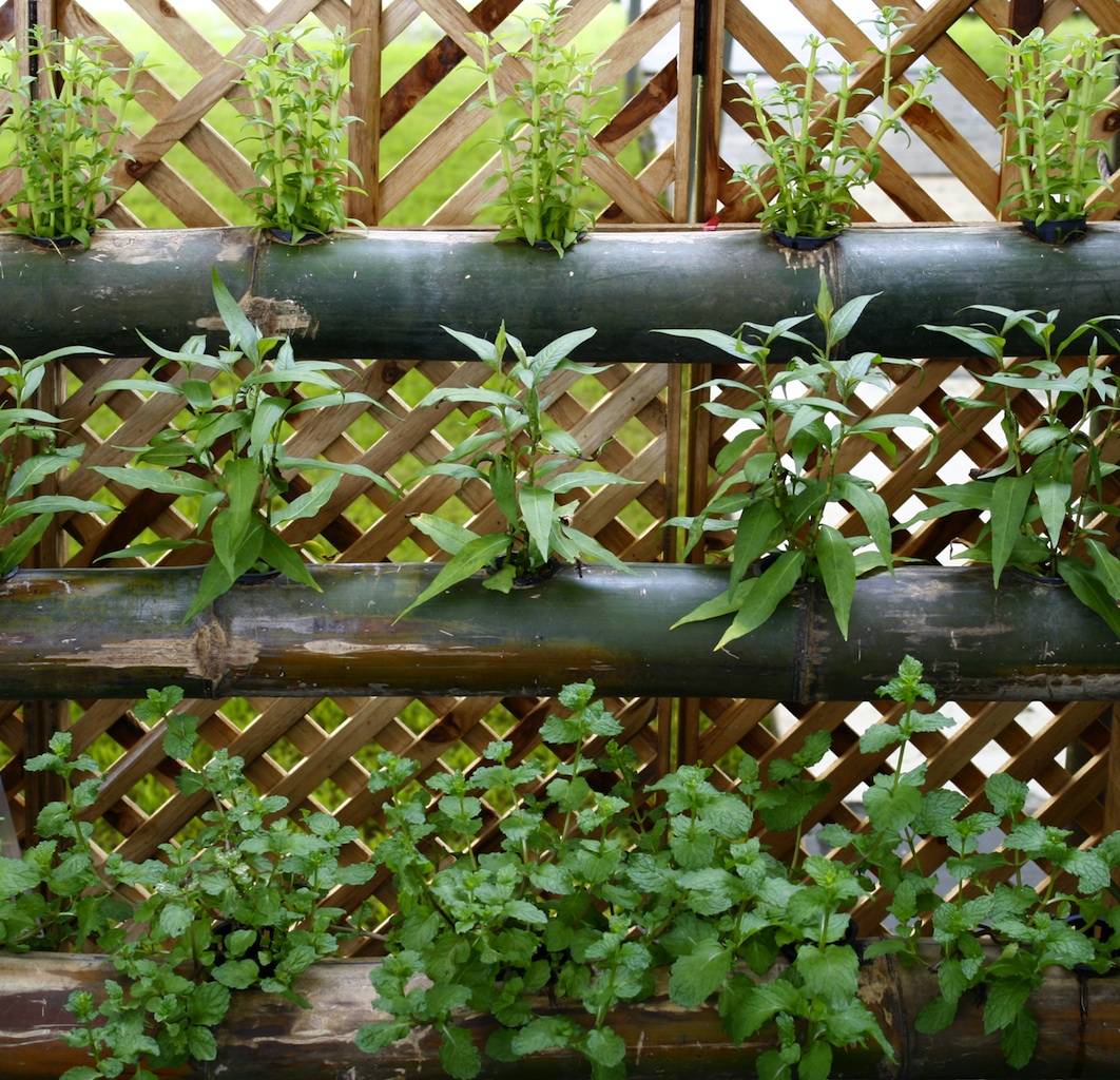 Best Easy And Cheap Diy Vertical Garden Ideas