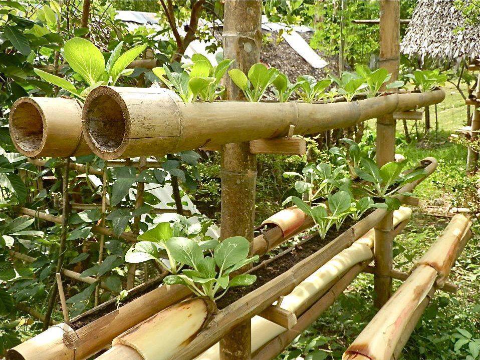 Just Bamboo Sticks