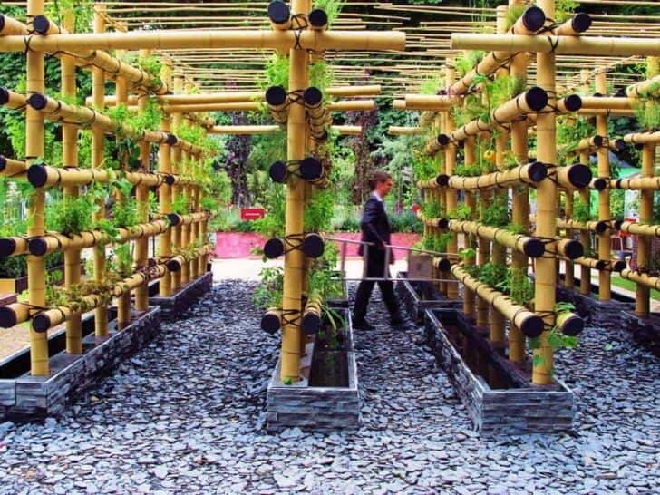 Lovely Vertical Garden