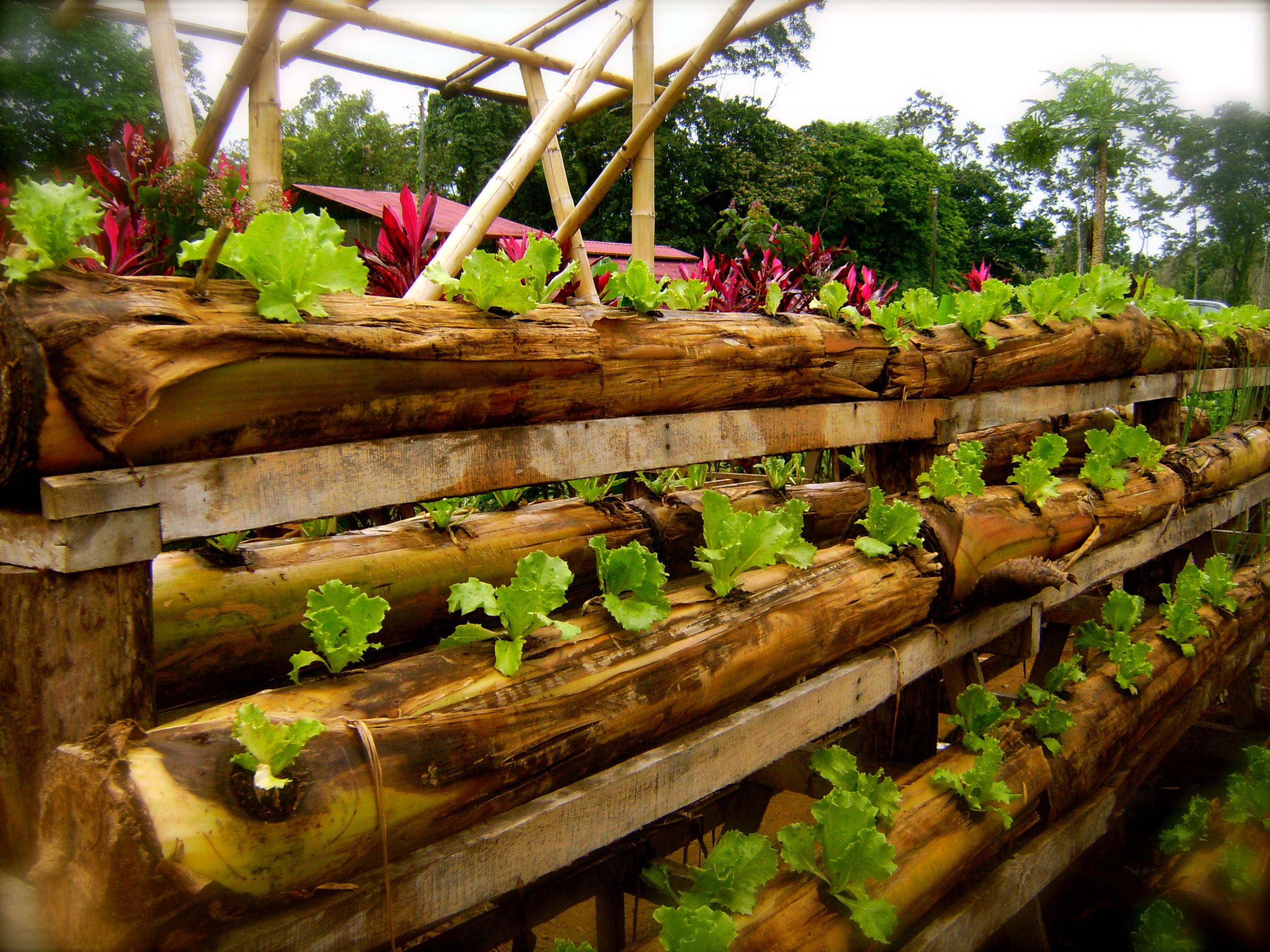 Inspiring Vertical Garden Ideas
