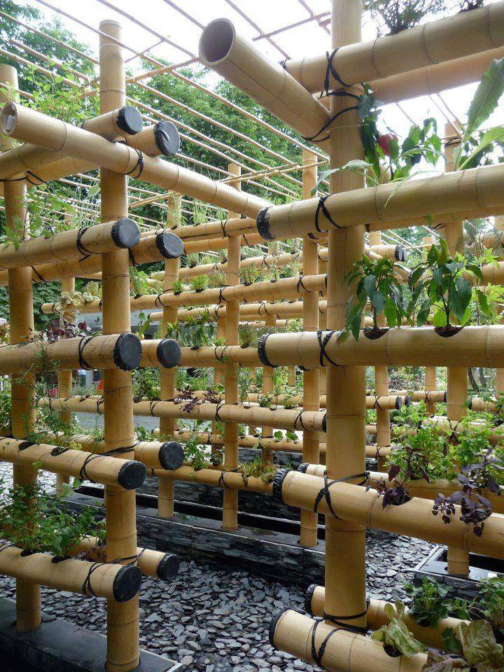 Best Vegetable Hydroponic Garden Ideas And Decoration About